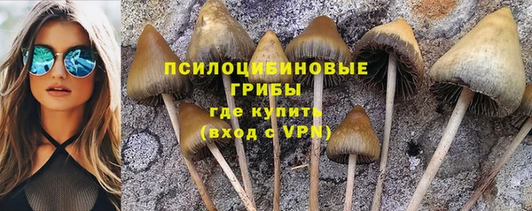 амф Абинск
