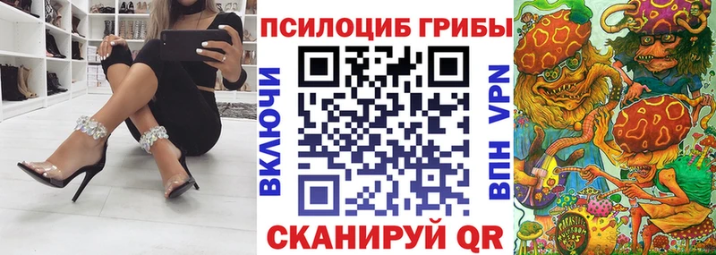 Псилоцибиновые грибы мицелий omg зеркало Фёдоровский