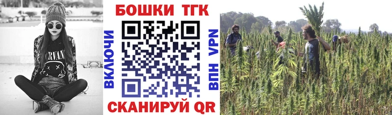 Конопля сатива  где можно купить наркотик  Фёдоровский 